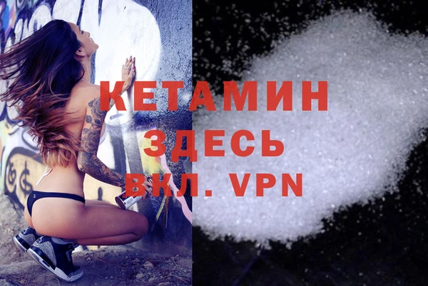 крисы Вязьма