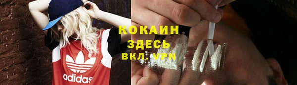 крисы Вязьма