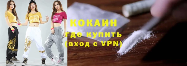 крисы Вязьма