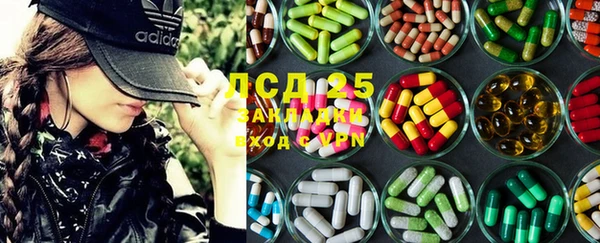 крисы Вязьма
