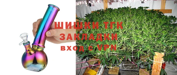 крисы Вязьма