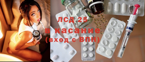крисы Вязьма